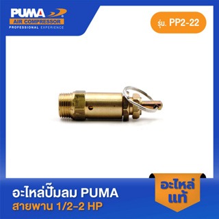 อะไหล่ปั๊มลมลูกสูบ พูม่า  PUMA โปโลลม PUMA  3/8" 1/2-2 HP 3 สูบ